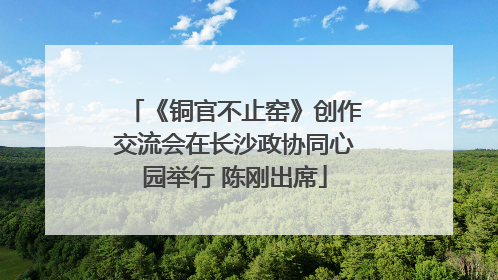 《铜官不止窑》创作交流会在长沙政协同心园举行 陈刚出席