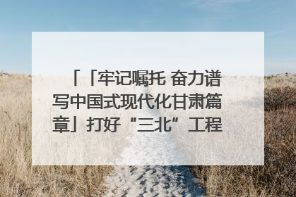 「牢记嘱托 奋力谱写中国式现代化甘肃篇章」打好“三北”工程攻坚战 筑牢国家西部生态安全屏障