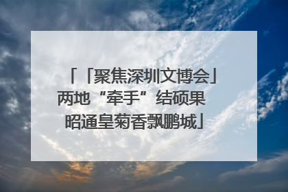 「聚焦深圳文博会」两地“牵手”结硕果 昭通皇菊香飘鹏城