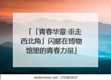 「青春华章·重走西北角」闪耀在博物馆里的青春力量