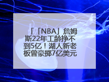 「NBA」詹姆斯22年工龄挣不到5亿！湖人新老板曾豪掷7亿美元签球员
