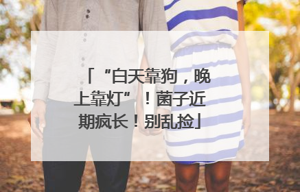 “白天靠狗，晚上靠灯”！菌子近期疯长！别乱捡