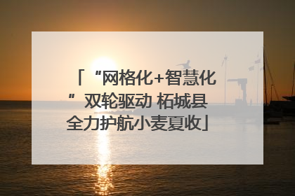 “网格化+智慧化”双轮驱动 柘城县全力护航小麦夏收