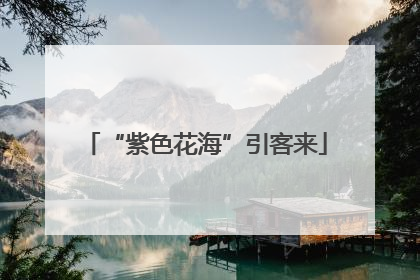 “紫色花海”引客来