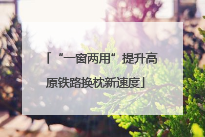 “一窗两用”提升高原铁路换枕新速度
