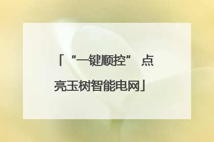 “一键顺控” 点亮玉树智能电网