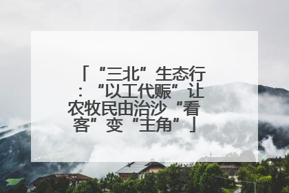 “三北”生态行：“以工代赈”让农牧民由治沙“看客”变“主角”