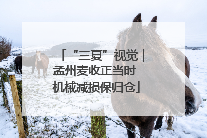 “三夏”视觉｜孟州麦收正当时 机械减损保归仓