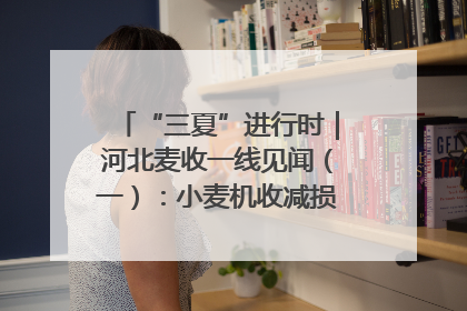 “三夏”进行时｜河北麦收一线见闻（一）：小麦机收减损“竞技” 农机高手麦田“过招”