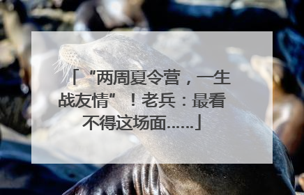 “两周夏令营，一生战友情”！老兵：最看不得这场面……