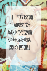 “五玫瑰”绽放 新城小学混编少年足球队勇夺四强