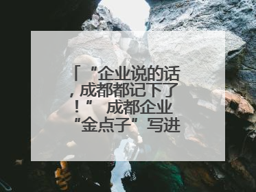 “企业说的话，成都都记下了！” 成都企业“金点子”写进数字文创政策