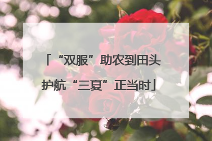 “双服”助农到田头 护航“三夏”正当时