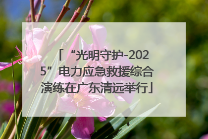 “光明守护-2025”电力应急救援综合演练在广东清远举行