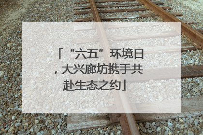“六五”环境日，大兴廊坊携手共赴生态之约