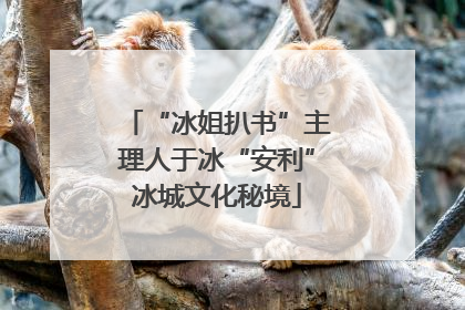 “冰姐扒书”主理人于冰“安利”冰城文化秘境