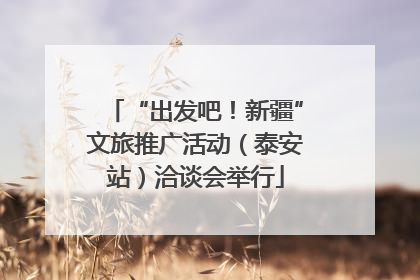 “出发吧！新疆”文旅推广活动（泰安站）洽谈会举行