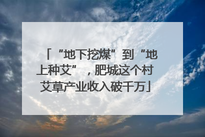 “地下挖煤”到“地上种艾”，肥城这个村艾草产业收入破千万