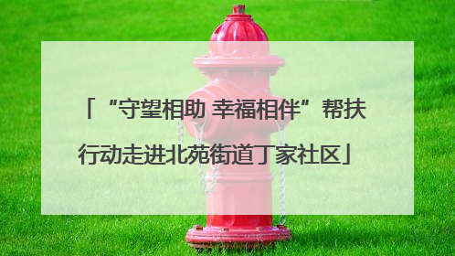 “守望相助 幸福相伴”帮扶行动走进北苑街道丁家社区