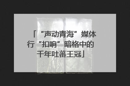 “声动青海”媒体行“扣响”暗格中的千年吐蕃王冠