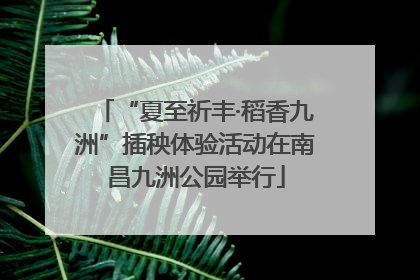 “夏至祈丰·稻香九洲”插秧体验活动在南昌九洲公园举行