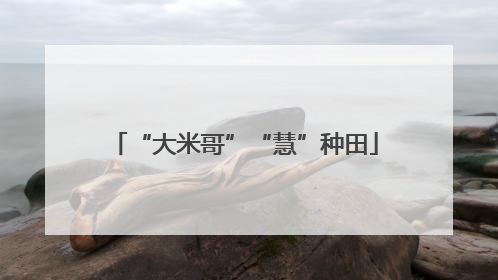 “大米哥”“慧”种田
