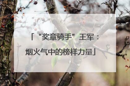 “奖章骑手”王军：烟火气中的榜样力量