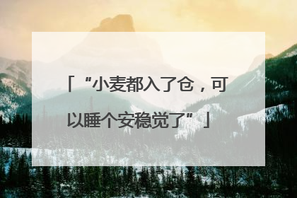 “小麦都入了仓，可以睡个安稳觉了”