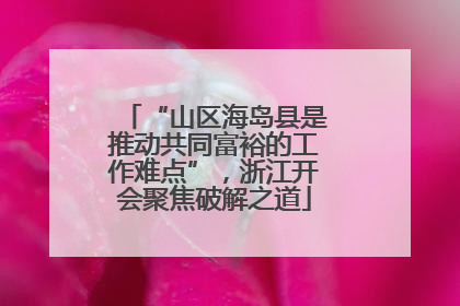 “山区海岛县是推动共同富裕的工作难点”，浙江开会聚焦破解之道