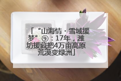 “山海情・雪域援梦”⑨：17年，潍坊援藏把4万亩高原荒漠变绿洲