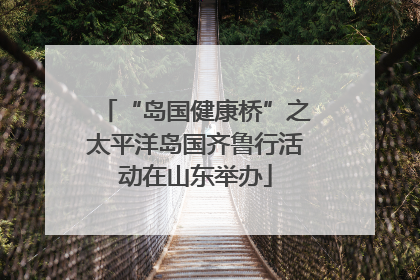 “岛国健康桥”之太平洋岛国齐鲁行活动在山东举办