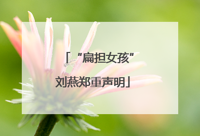“扁担女孩”刘燕郑重声明