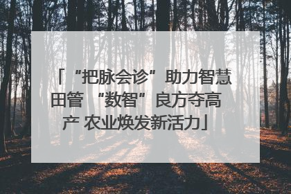 “把脉会诊”助力智慧田管 “数智”良方夺高产 农业焕发新活力