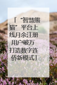 “智慧熊猫”平台上线月余注册用户破万 打造数字连侨新模式