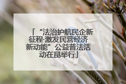“法治护航民企新征程·激发民营经济新动能”公益普法活动在昆举行