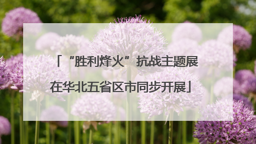 “胜利烽火”抗战主题展在华北五省区市同步开展