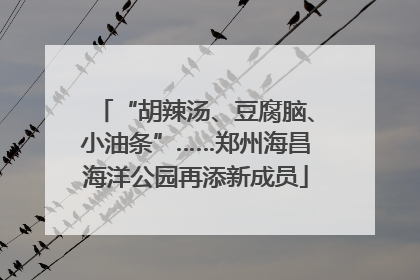 “胡辣汤、豆腐脑、小油条”……郑州海昌海洋公园再添新成员