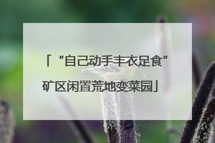 “自己动手丰衣足食”矿区闲置荒地变菜园