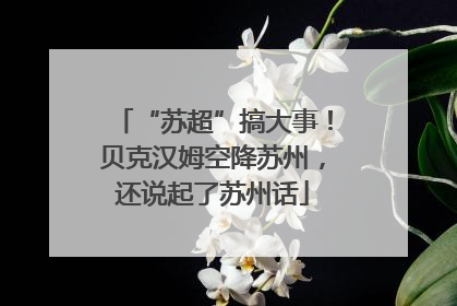 “苏超”搞大事！贝克汉姆空降苏州，还说起了苏州话