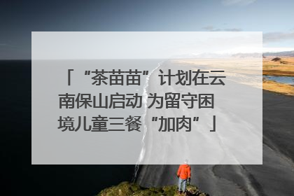 “茶苗苗”计划在云南保山启动 为留守困境儿童三餐“加肉”