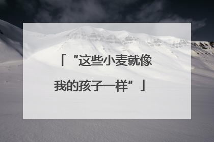 “这些小麦就像我的孩子一样”