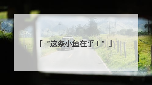 “这条小鱼在乎！”
