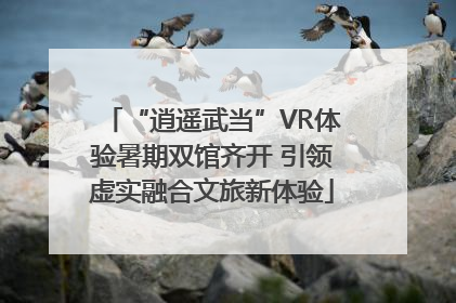 “逍遥武当”VR体验暑期双馆齐开 引领虚实融合文旅新体验