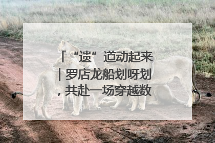 “遗”道动起来｜罗店龙船划呀划，共赴一场穿越数百年的端午之约