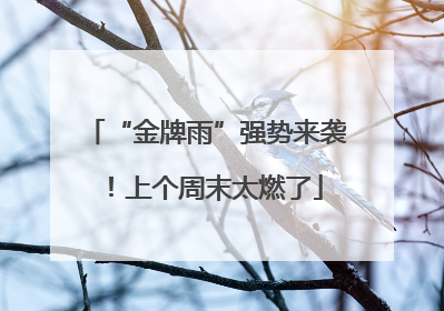 “金牌雨”强势来袭！上个周末太燃了
