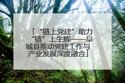 “链上党建”助力“链”上生辉——阜城县推动党建工作与产业发展深度融合