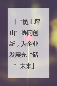 “链上坪山”协同创新，为企业发展充“储”未来