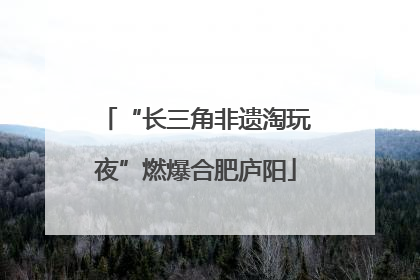 “长三角非遗淘玩夜”燃爆合肥庐阳