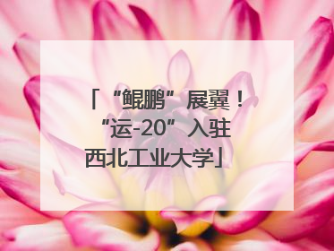 “鲲鹏”展翼！“运-20”入驻西北工业大学