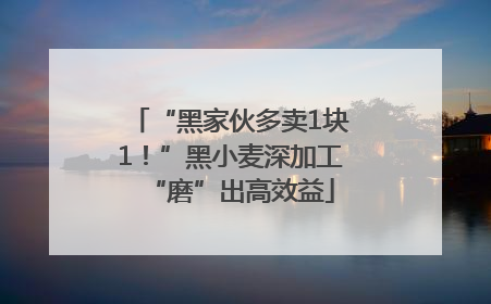 “黑家伙多卖1块1！”黑小麦深加工“磨”出高效益